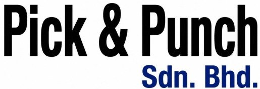 pick-punch.com